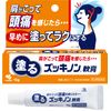 [Third drug class] Zukkinon for painting 15g * Products subject to self-medication tax system