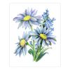 Royal and Langnickel Drawing Made Easy 4 Flower Projects Set
