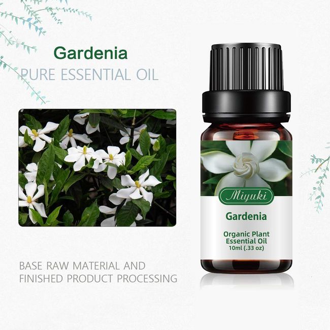 Gardenia Oil