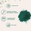 Micro Ingredients Organic Chlorella Powder 10oz 09/26