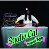 Studio Cat Tsuyoshi Kon
