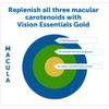 Dr. Whitaker Vision Essentials Gold - Eye Health Supplement with 40 mg of Lutein Plus, Zeaxanthin & Taurine - Supports Macular Health and Shields Eyes Against Blue Light Exposure (120 Capsules)