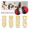payanwin Cat Interactive Toy (Red)