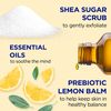 Dr Teal's Shea Sugar Scrub Prebiotic Lemon Balm 538Gm