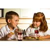 Kedem Concord Grape Juice, 8oz Plastic Bottle (24 Pack)