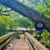 Gold One Eye Patterned Handmade Evil Eye Home Decor (7.8' Gold One Eye)
