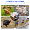 20 Pcs Automatic Waterer Poultry Drinker Device Chicken Duck Geese Quail Feeder
