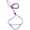 Lone Wolf 1/4 x 6' Flat Braid Martingale Leash Raspberry/Sky Blue Spiral