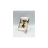 メメントモリ Lament Collection Vol.2