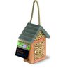 Tom Chambers Busy Bee House