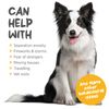 maxxipaws maxxicalm Natural Calming Supplement for Dogs - 60 Non-Drowsy Tablets