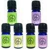 Essential Oil Set (Cold Season Defense Set)