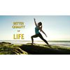 Liverite Liver Aid 120 Tablets, Liver Support, Liver Cleanse, Liver Care, Liver Function, Energy.
