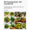 Arrangement Succulent DIY Kit - 3” Pot