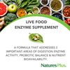 NaturesPlus ActiZyme - 180 Vegetarian Capsules - Gut Health Supplement, Contains Digestive Enzymes, Probiotics, Aminogen, Bioperine - Gluten-Free - 90 Servings