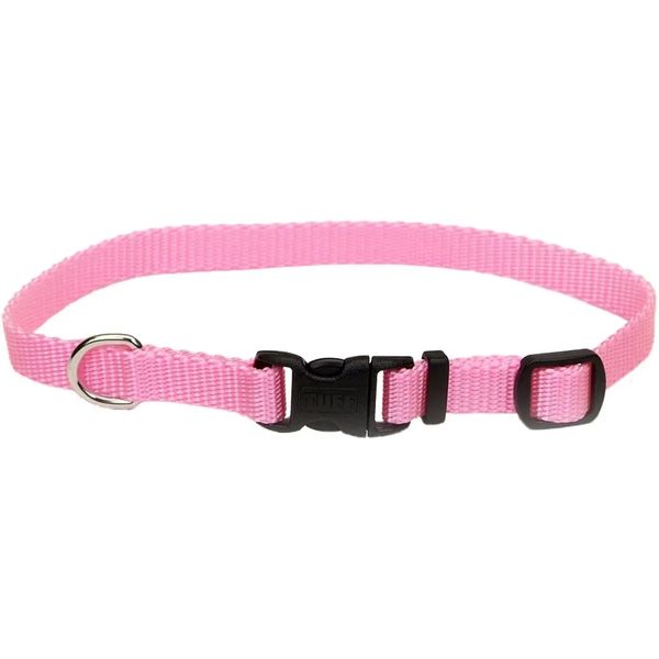 Coastal Adjustable Dog Collar with Plastic Buckle, Pink Bright, 3/8" x 8"-12"