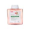 KLORANE Peony Extract Shampoo Sensitive Scalp 200 ml