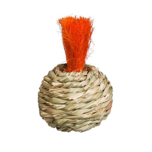 Prevue Pet Products Grassy Nibblers Squash Small Animal Chew Toy
