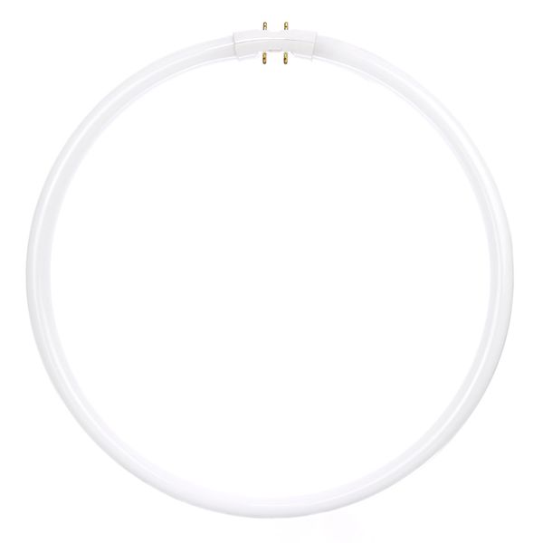 Sunlite FC40T5/SP841 Fluorescent 40W T5 Circline Ceiling Lights, 4100K Cool White Light, 2GX13 Base