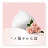 evita botanical cream soap face wash