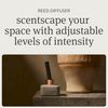 Drift Vanilla Scented Reed Diffuser - Diffusers for Home - 60 Day Scent Life - Oil Diffuser - Essential Oil Reed Diffuser - 3.5 oz