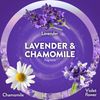 Air Wick Lavender and Chamomile Essential Oils, 5 Refill by Air Wick