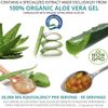 NutriWorth Aloe Vera Supplement (100 Softgels) 20,000mg Pure Gel Equivalency – Made with Organic Aloe Vera