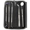 Dental Pets Teeth Cleaning Dog Tooth Scraper Pick Calculus Plaque Floss 5 Pc Kit