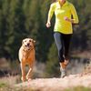 dog antioxidants - DOGS IMMUNE SUPPORT - supplements for dogs with tumeric 3B