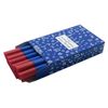 Study Time Triangular Handwriting Pens - Blue (Pack of 12)