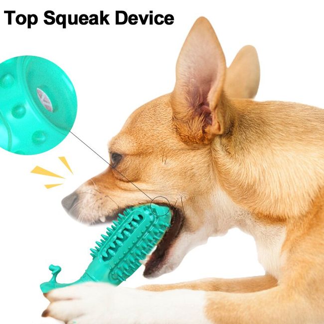 Dog Chew Toys, Puppy Toothbrush Clean Teeth Interactive Dog Toys