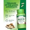 Maca Root Capsules | 60 Pills | Male Performance Formula | by Nature's Truth