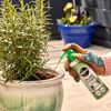 Miracle-Gro Pump & Feed' All Purpose Plant Food, 200 ml