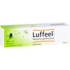Luffeel comp. Heuschnupfenspray, 20 ml Lösung