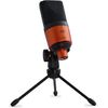 ESI cosMik 10 Professional Studio Condenser Microphone
