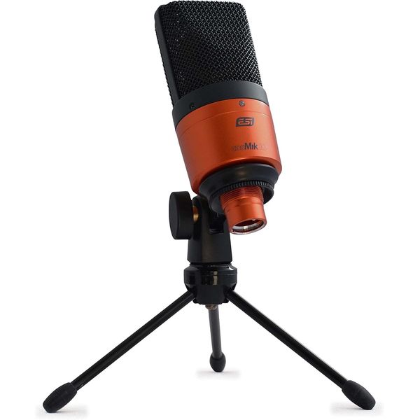 ESI cosMik 10 Professional Studio Condenser Microphone