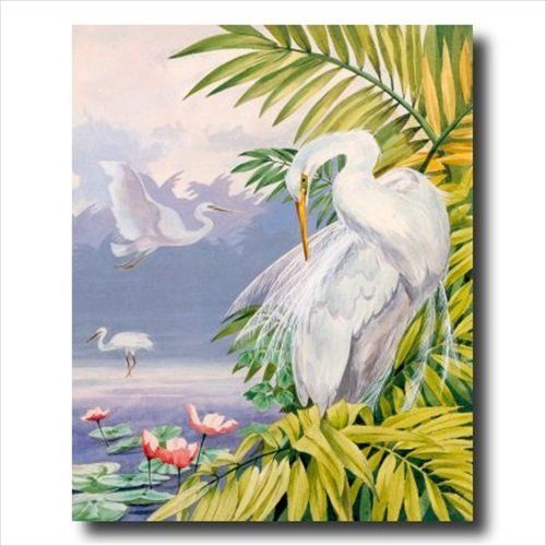 Tropical Lake Exotic Bird Animal Wildlife Contemporary Wall Picture 16x20 Art Print