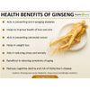 immune support antioxidant - ADAPTOGEN COMPLEX - ashwagandha and rhodiola -1 Bot