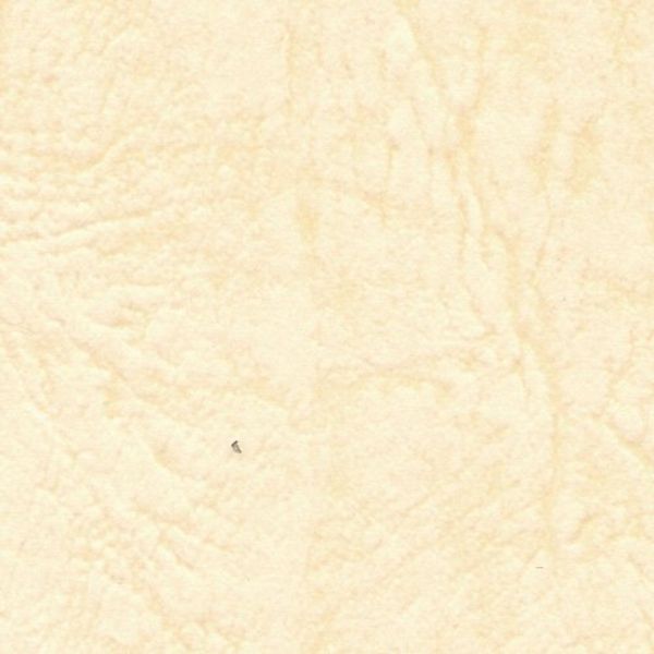 Les Zac 66 (Jazz Small) A4T < 130 > , crema