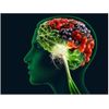 Brain vitamins - BRAIN & MEMORY BOOSTER FORMULA 777mg - mood booster - 1 Bottle