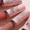 Lip Divine Liquid Lipstick (004, Missing You)