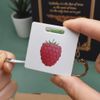 Azeeda 'Raspberry' Keyring Tape Measure/Spirit Level Tool (KM00016242)