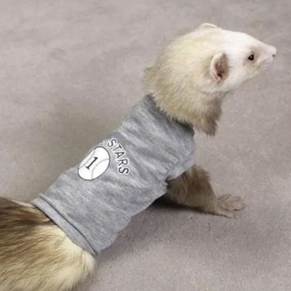 Ferret Tee T-Shirt All Star Baseball Pet Shirt Gray Medium 6” Long Girth 6”-7”