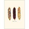 Earth Sky + Water - Native Corn Notecard Set - 8 Blank Cards with Envelopes