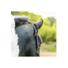 equilibrium Stellar All-Weather Safety Headcollar (Black, M)