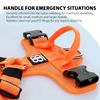 BullyBillows Active Light Dog Harness With Handle | Premium Padded Lining & Highly Reflective Harness | Orange Small