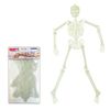 NEW Skeleton Glow in the Dark, about 150 cm
