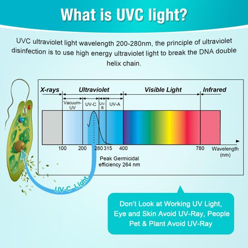 Qualirey 2 Pack UV Lamp Ozone Free, 253.7nm Wavelength UVC Germicidal Lamp 110V with ON/Off Switch Cord, Plug, Connector and Screw Tools for Closet/Cabinet/Bathroom (8w)