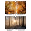 Waldzauber DIN A4 Calendar for 2022 Forest - Soul Magic