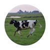 Running Cow PopSockets Grip and Stand for Phones and Tablets